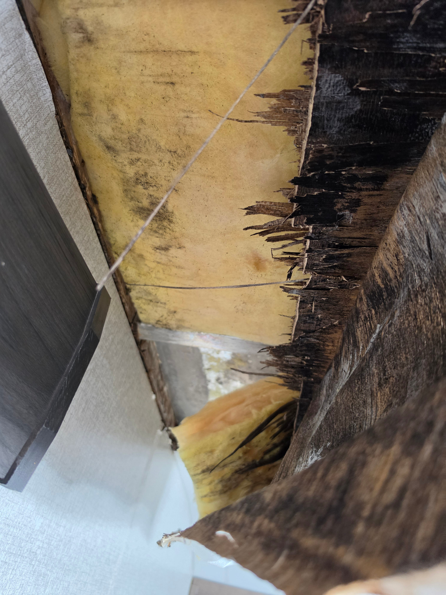 Exposed darkened and deteriorated wood beneath the detached ceiling finish